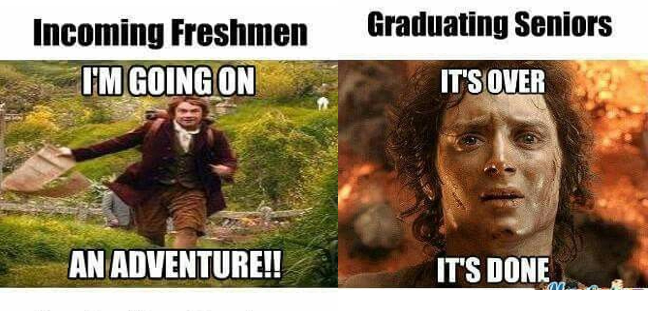 Freshman Meme